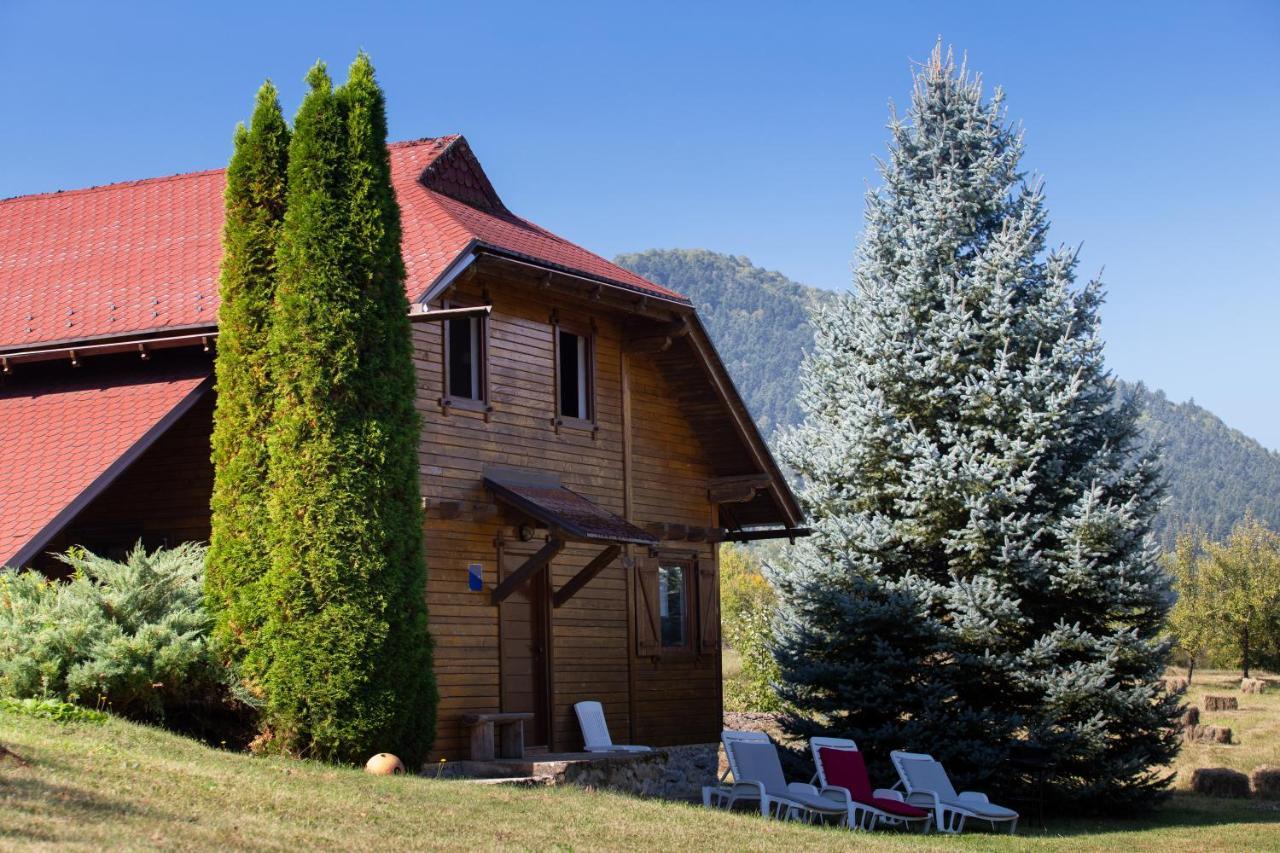 Woodenhouse With Two Apartments Otocac Exterior photo