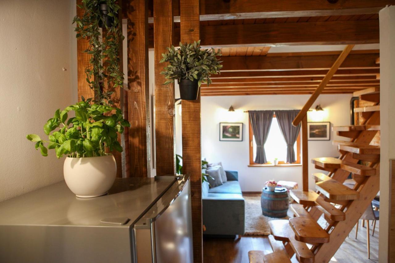 Woodenhouse With Two Apartments Otocac Exterior photo